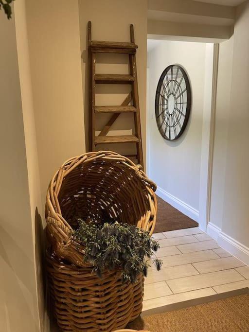 Holly Cottage, 2, Northbrook Park, Farnham-Up To 6 Adults Екстер'єр фото